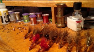 Sage & Echo Fly Rods